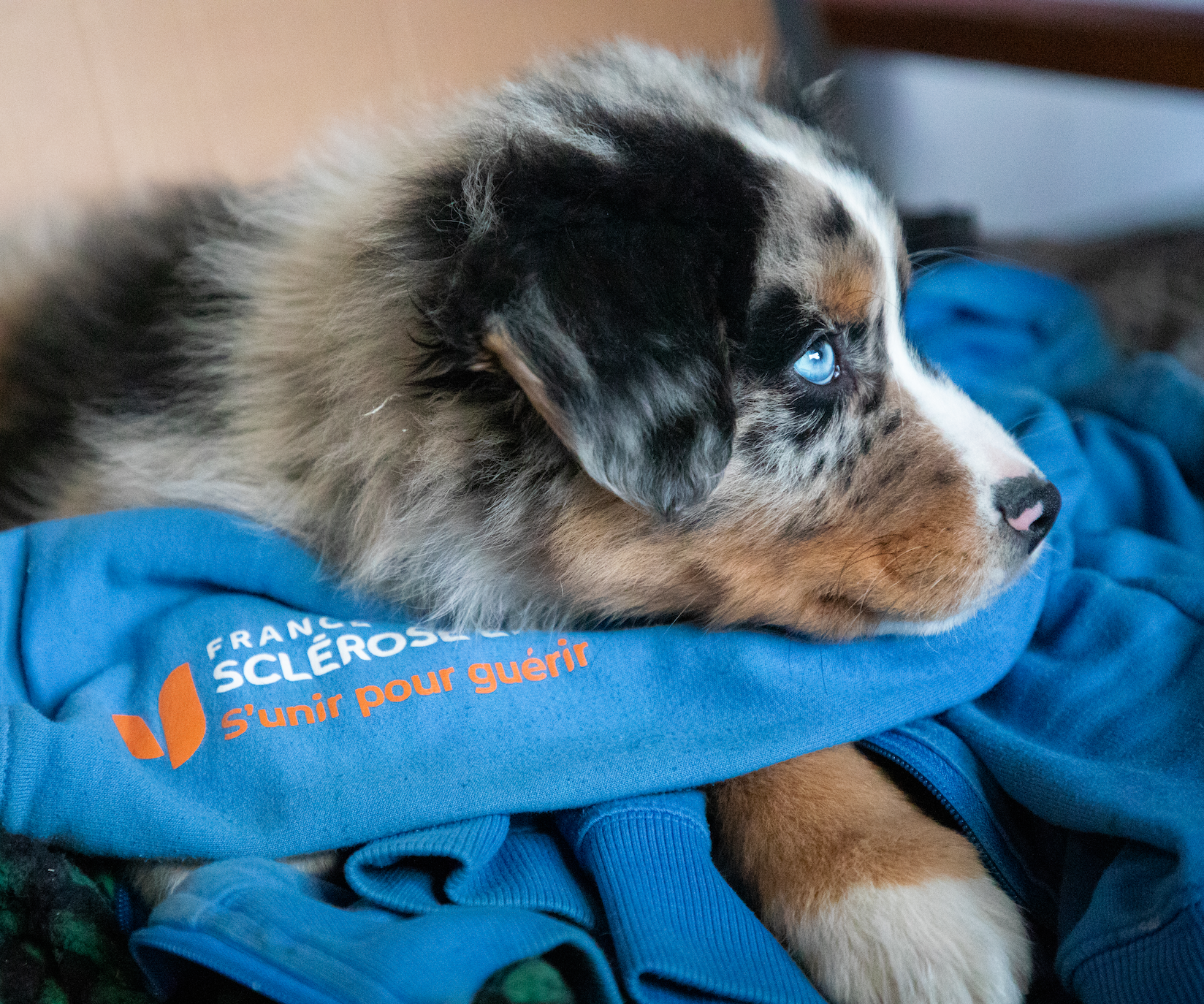 Le Projet Sportif - Défi Voile Solidaires en Peloton